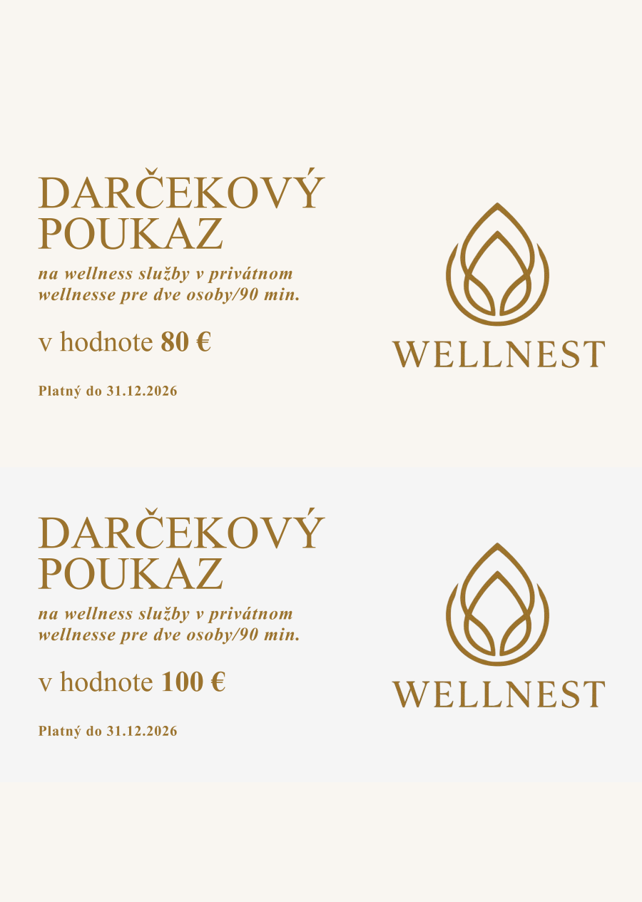 vizualna identita wellnest od pavopulse 9