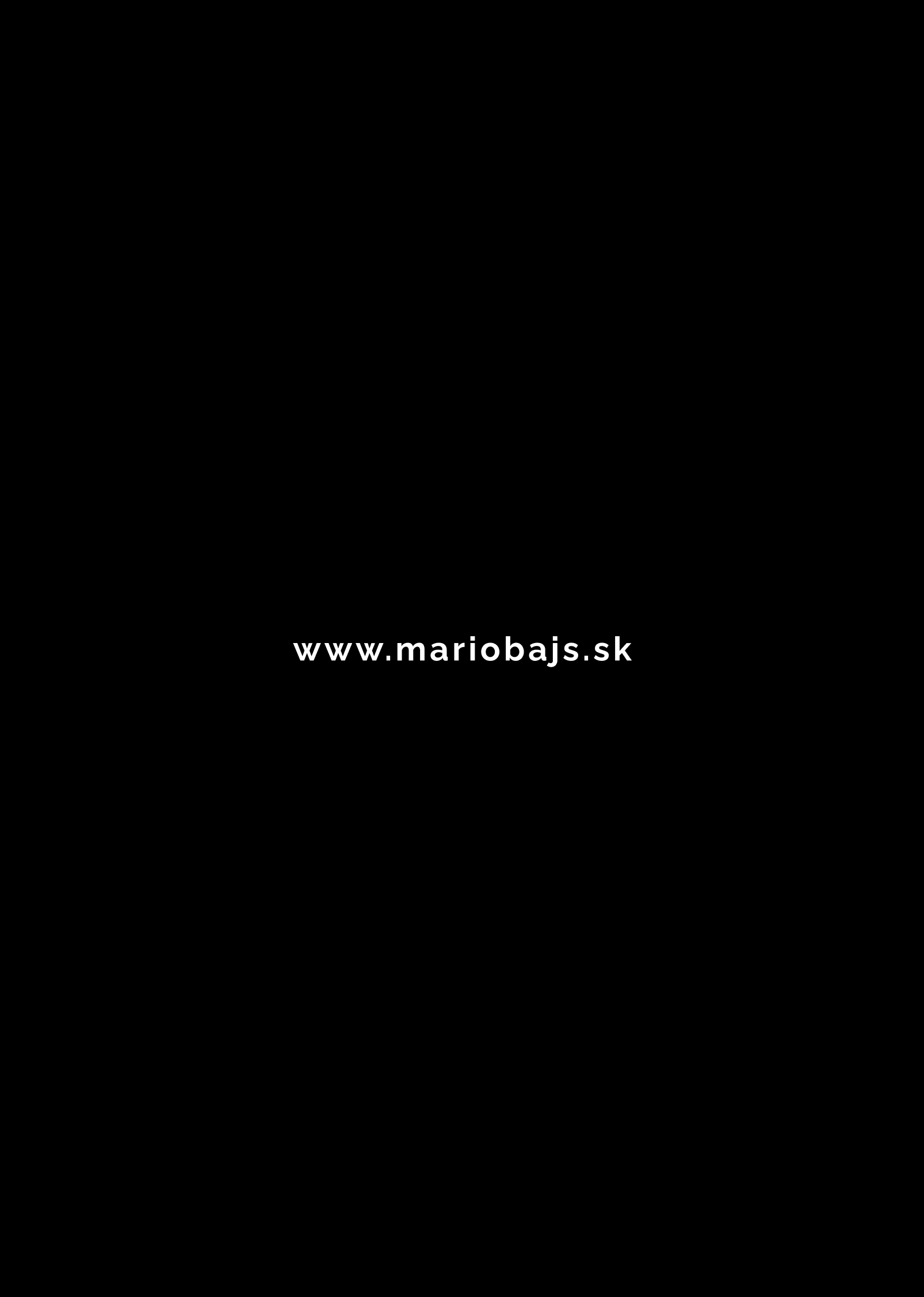mario bajs vizualna identita pavopulse